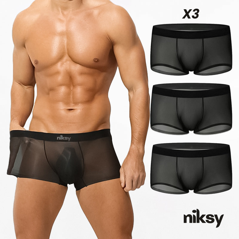 Men's Ultra-Thin Ice Silk Transparent Boxer Briefs