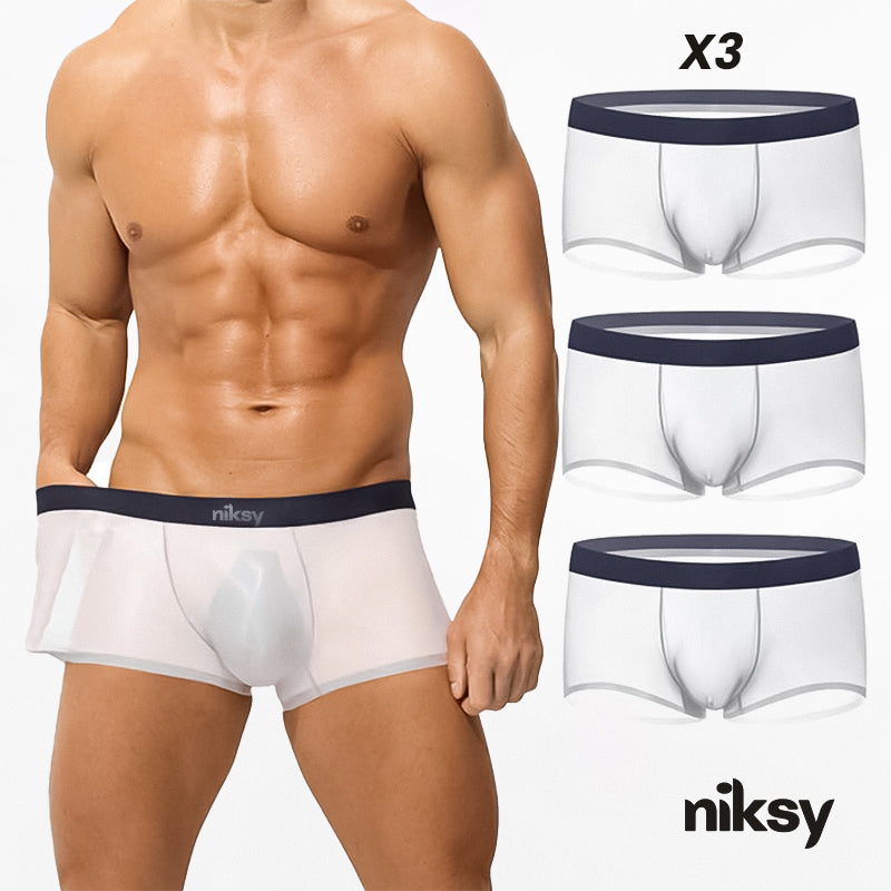 Men's Ultra-Thin Ice Silk Transparent Boxer Briefs