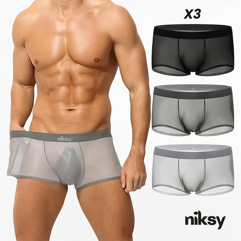Men's Ultra-Thin Ice Silk Transparent Boxer Briefs