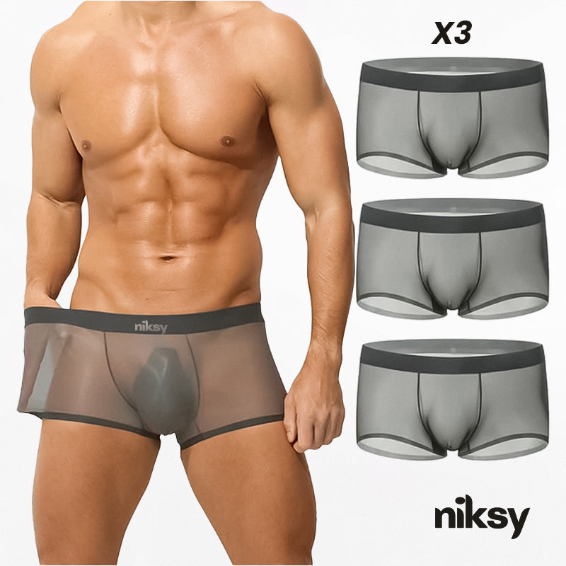 Men's Ultra-Thin Ice Silk Transparent Boxer Briefs