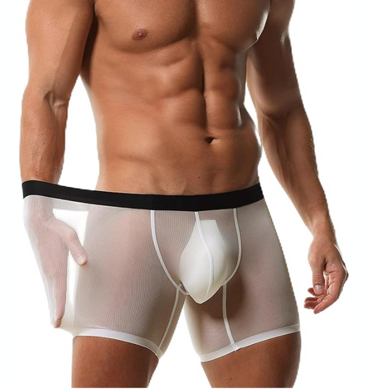 Men’s Ice Silk Mesh Boxer Briefs
