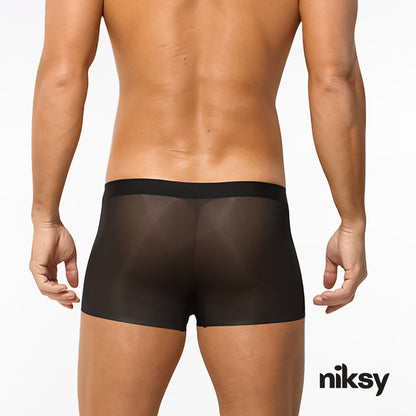 Men's Ultra-Thin Ice Silk Transparent Boxer Briefs