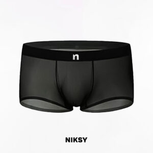 Ultra-Thin Ice Silk Transparent Boxer Briefs